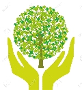 immagine dell'evento