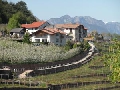 immagine dell'evento