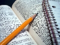 immagine dell'evento
