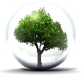 immagine dell'evento