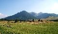 immagine dell'evento