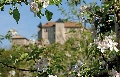 immagine dell'evento