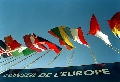 immagine dell'evento
