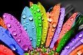 immagine dell'evento