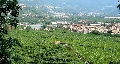 immagine dell'evento