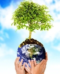 immagine dell'evento