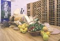 immagine dell'evento