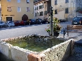 immagine dell'evento