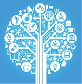 immagine dell'evento