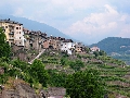 immagine dell'evento