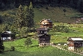 immagine dell'evento