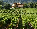 immagine dell'evento